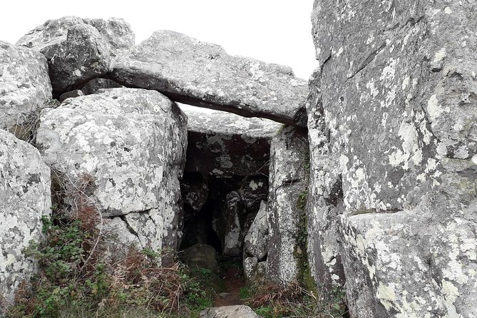 Hiking in Sintra-Cascais Natural Park - Customer Experiences and Ratings