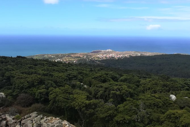 Hiking in Sintra-Cascais Natural Park - Tips for a Great Hiking Experience