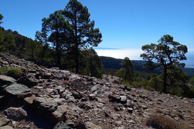 Hiking in Tenerifes Great Outdoors - Physical Requirements and Accessibility