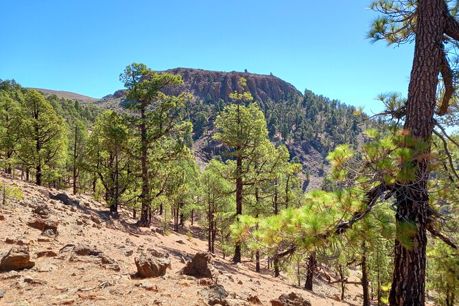 Hiking in Tenerifes Great Outdoors - Pickup Locations and Start Time