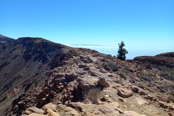 Hiking in Tenerifes Great Outdoors - Cancellation and Weather Policy