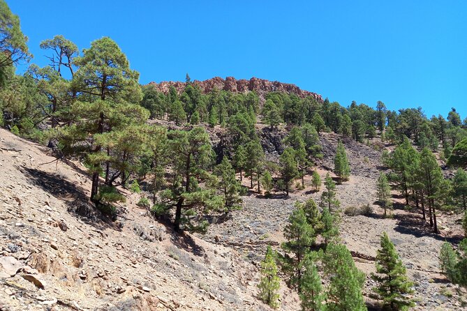 Hiking in Tenerifes Great Outdoors - Exploring Remote Locations