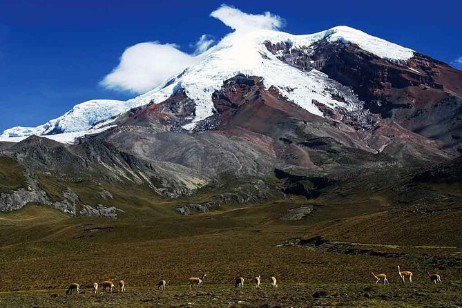 Hiking in the Andes – the Avenue of Volcanoes 6 Days - Exploring the Andes
