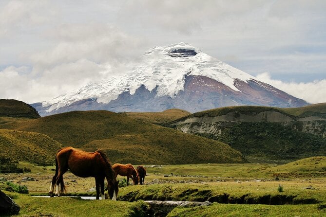Hiking in the Andes – the Avenue of Volcanoes 6 Days - Memorable Experiences
