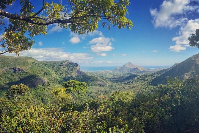 Hiking in the Black River Gorges National Parc - Native Forest - Explore the Native Flora