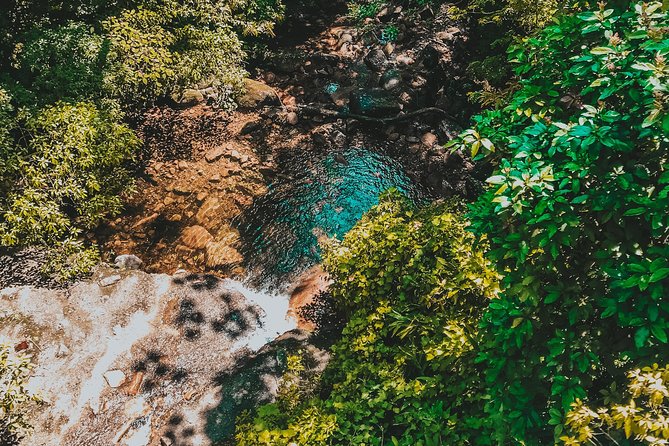 Hiking in the Black River Gorges National Parc - Native Forest - Refreshing Dip in the River