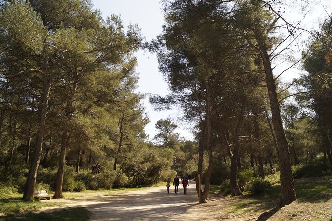 Hiking in the Calanques National Park From Luminy - Private Transportation and Meeting Points