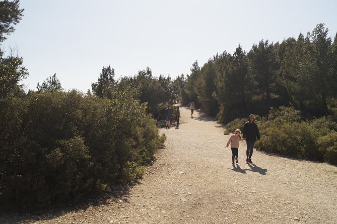 Hiking in the Calanques National Park From Luminy - Maximum Group Size and Reviews