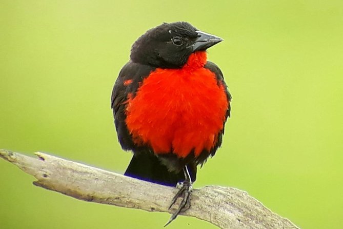 Hiking in the Cloud Forest - Wildlife and Experience