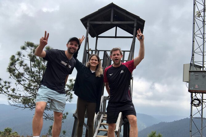Hiking in the Enchanted Forest of Ixtepeji With Rescue Dogs - Key Points