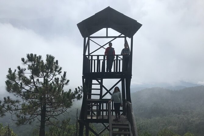Hiking in the Enchanted Forest of Ixtepeji With Rescue Dogs - Traveler Information and Policies