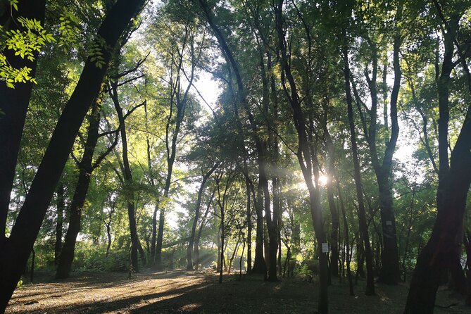 Hiking in the Magaliesberg,Wildlife Hike an Hour Fromjohannesburg - Customer Reviews and Feedback