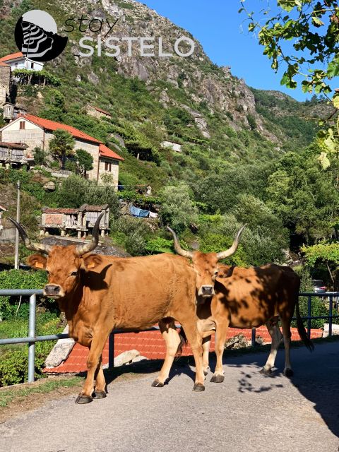 Hiking in the Mini Tibet of Portugal - Booking and Reservation Details