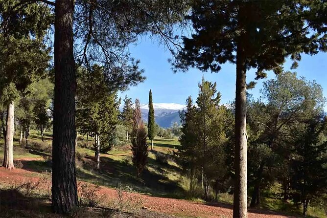 Hiking in the Natural Park on the Outskirts of the Alhambra - Inclusions and Exclusions
