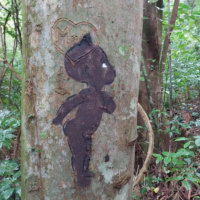 Hiking in the Rainforest, Waterfall, Black Sand Beach - Key Points