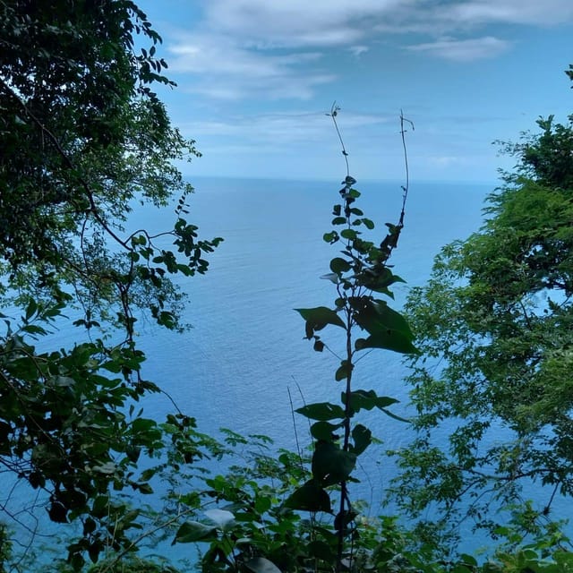 Hiking in the Rainforest, Waterfall, Black Sand Beach - Itinerary