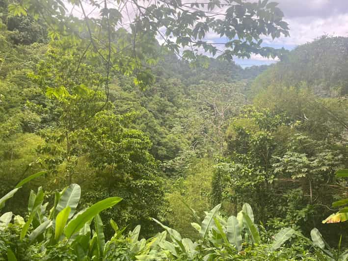 Hiking in the Rainforest, Waterfall, Black Sand Beach - Transportation and Group Details