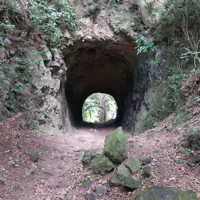 Hiking in the Rainforest, Waterfall, Black Sand Beach - Pricing and Inclusions
