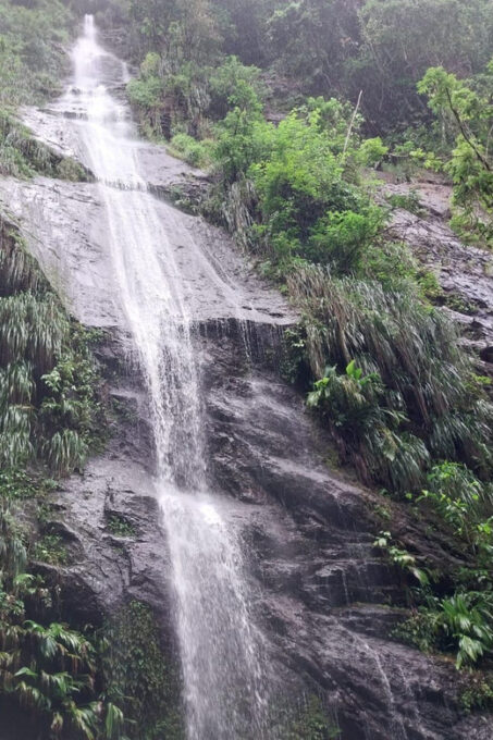 Hiking in the Rainforest, Waterfall, Black Sand Beach - Participant Suitability