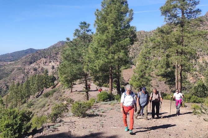 Hiking in the Sacred Mountains of Gran Canaria: UNESCO - Booking and Cancellation Policy