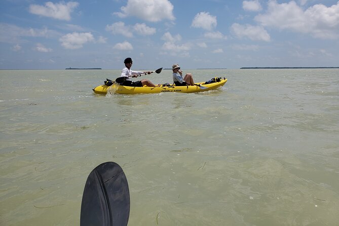 Hiking + Kayaking Tour in Everglades National Park W/ Wet Walk! - Encountering Everglades Wildlife