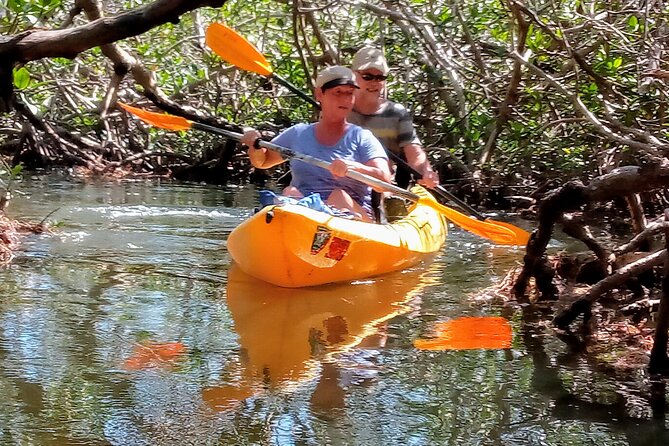 Hiking + Kayaking Tour in Everglades National Park W/ Wet Walk! - The Guided Kayak Adventure