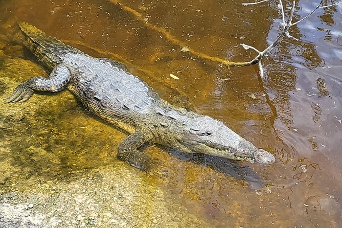 Hiking + Kayaking Tour in Everglades National Park W/ Wet Walk! - Included Amenities and Perks