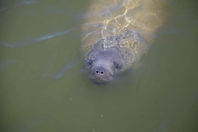Hiking + Kayaking Tour in Everglades National Park W/ Wet Walk! - Pricing and Booking Information