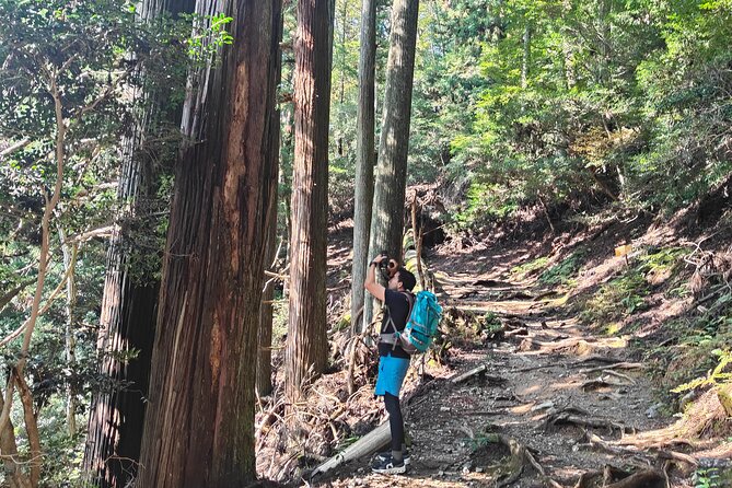 Hiking Kyotos Highest Mountain: Unravel the Mystery of Mt. Atago - Challenges and Scenic Vistas