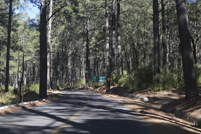Hiking La Malinche Experience (Private Tour) - Pricing and Group Size Options