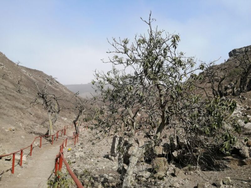 Hiking Lomas De Lachay in Lima - Hiking Information