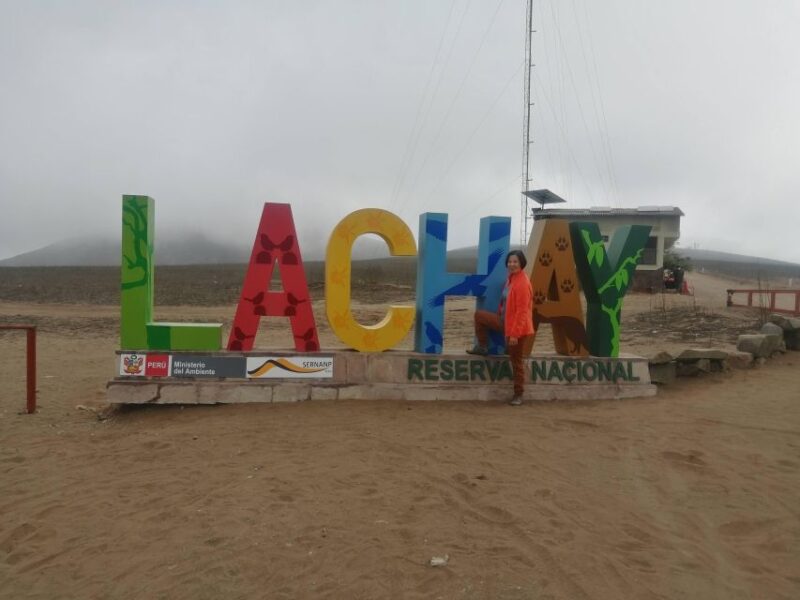 Hiking Lomas De Lachay in Lima - Booking and Availability
