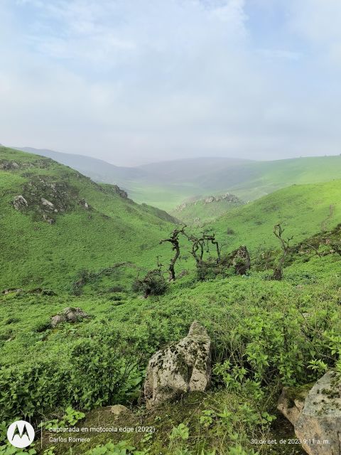 Hiking Lomas De Lachay in Lima - Frequently Asked Questions