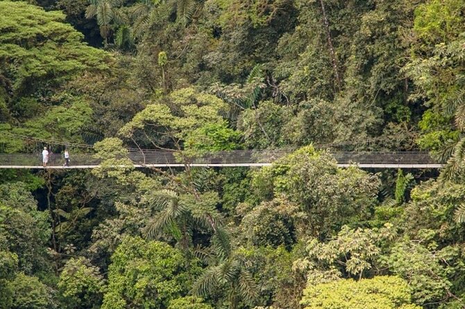 Hiking Lovers (Hanging Bridges + La Fortuna Waterfall + Volcano Hike) - Wildlife and Nature