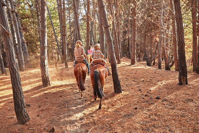 Hiking Mauco Hill & HorseRide-Ritoque Beach&Dunes From VALPARAISO - Meeting and Pickup