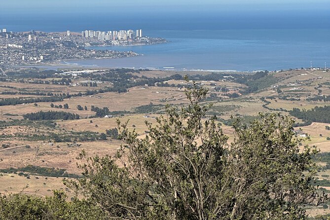 Hiking Mauco Hill & HorseRide-Ritoque Beach&Dunes From VALPARAISO - Participant Information
