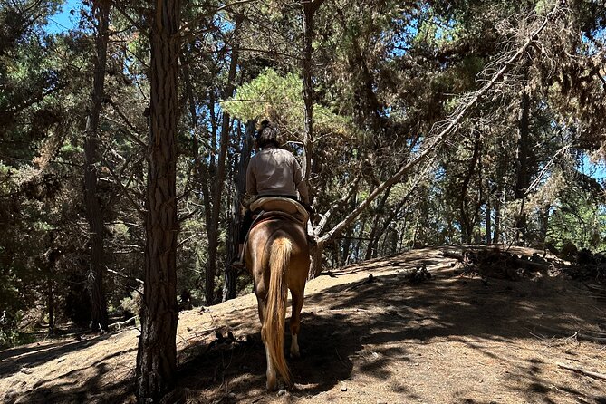 Hiking Mauco Hill & HorseRide-Ritoque Beach&Dunes From VALPARAISO - Reviews and Feedback