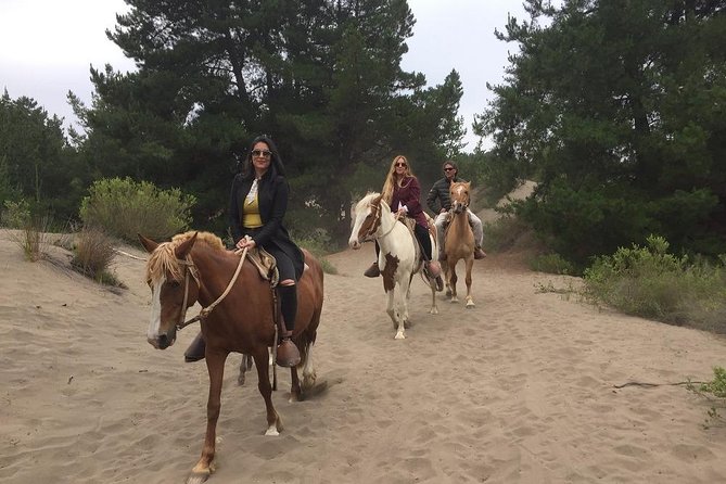Hiking Mauco Hill & HorseRide-Ritoque Beach&Dunes From VALPARAISO - Native Forest Birdlife