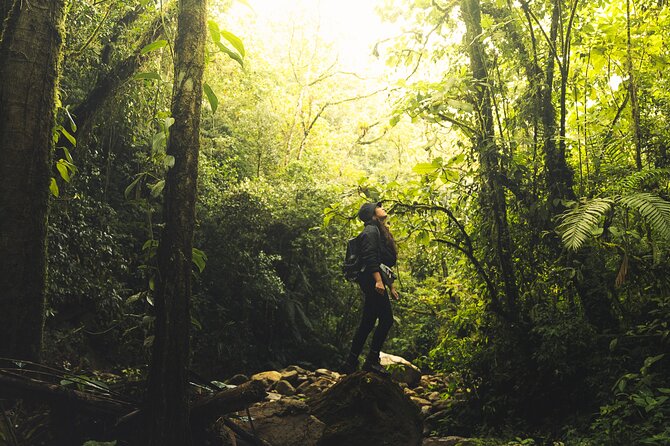 Hiking Medellin and Hidden Waterfalls - Tour Inclusions and Requirements