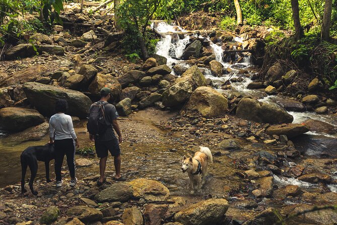 Hiking Medellin and Hidden Waterfalls - Customer Feedback and Experiences