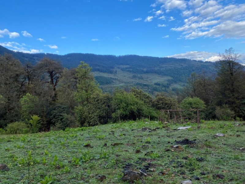 Hiking, Meditation, Camping and Enjoying Local Food - Itinerary Highlights
