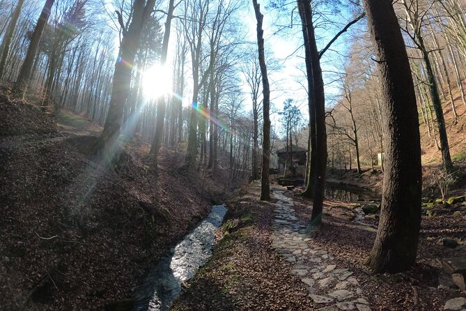 Hiking Medvednica & Medvedgrad Castle - Inclusions