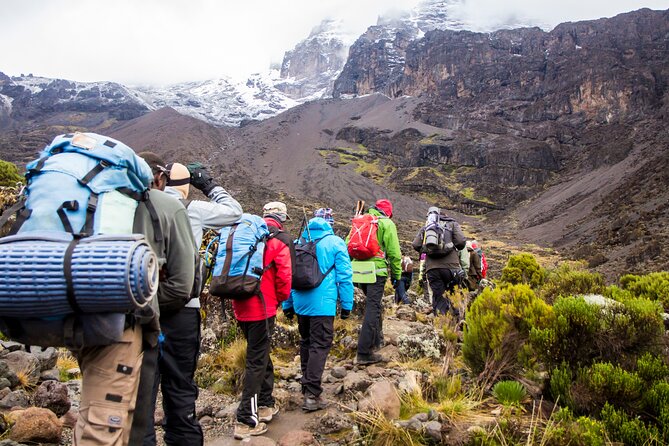 Hiking Mt Kilimanjaro 7 Days Scenic Route & Moderate Challenge - Pickup Arrangements