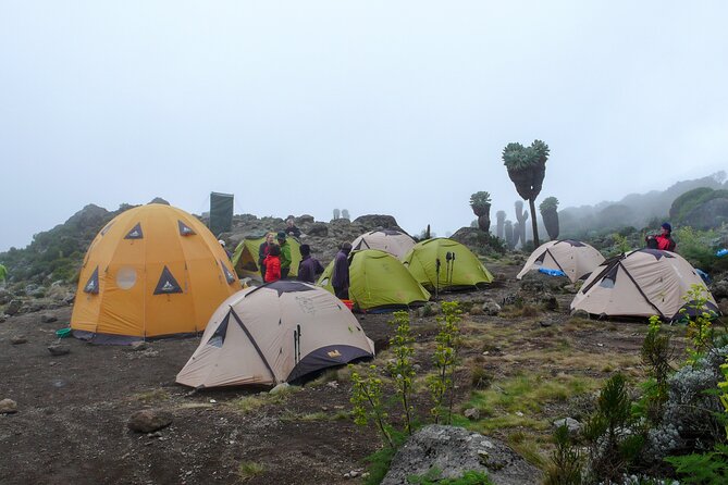Hiking Mt Kilimanjaro 7 Days Scenic Route & Moderate Challenge - Physical Requirements