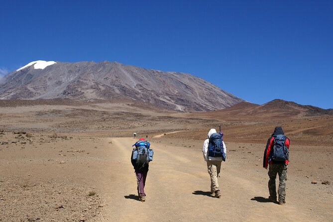 Hiking Mt Kilimanjaro 8 Days, the Most Scenic Route up Kili - Location and Reviews