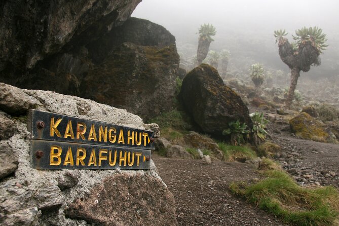 Hiking Mt Kilimanjaro 8 Days, the Most Scenic Route up Kili - Cancellation Policy