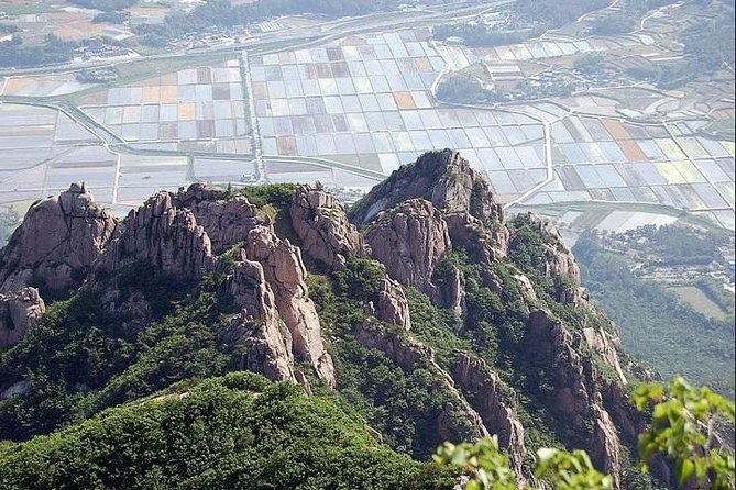 Hiking Mt. Wolchulsan National Park by KTX Train From Seoul - Health and Safety Requirements
