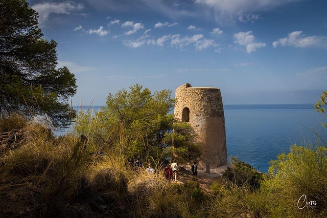 Hiking Natural Beaches & Snorkeling - Ratings and Reviews