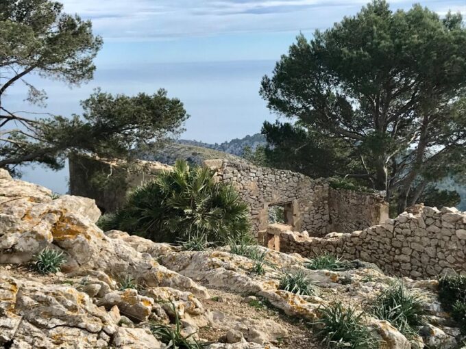 Hiking on Alcúdia Peninsula - Exploring Alcúdias Old Town