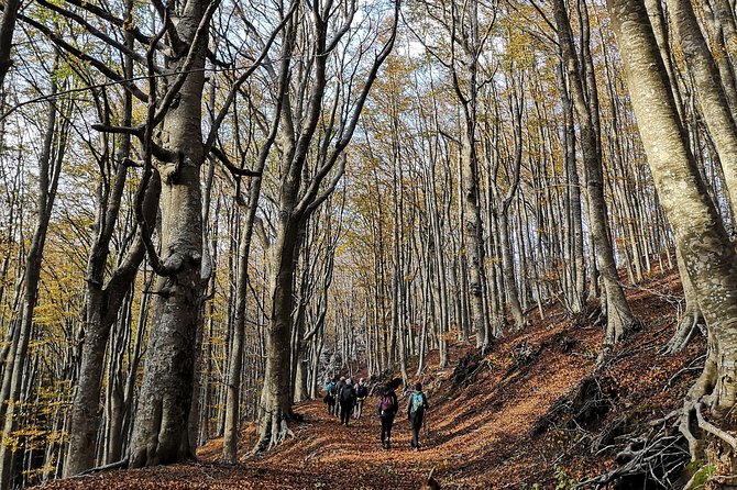 Hiking on Faito Mountain From Sorrento - Overview of the Private Hiking Tour